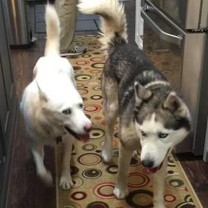 Meet your Posher, Tami